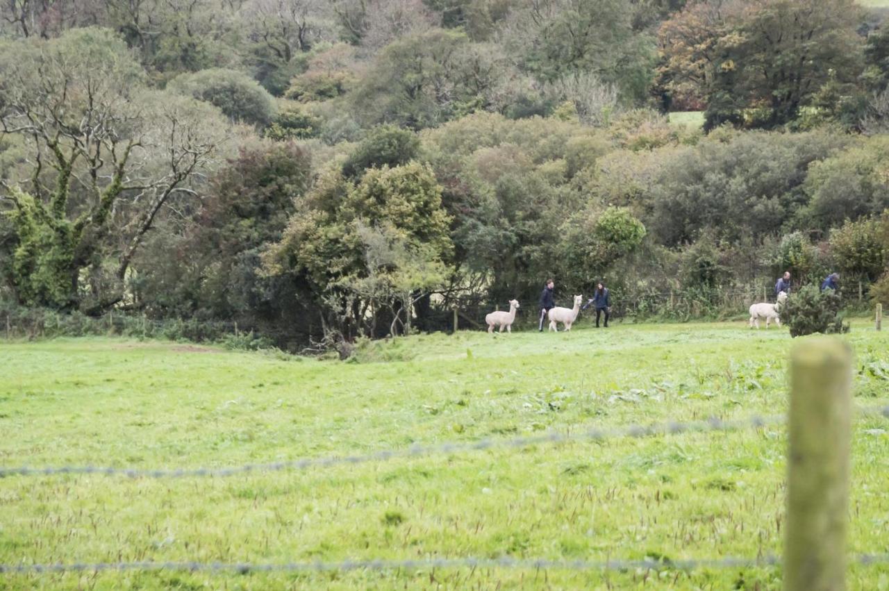 Orchard Cottage - Luxurious Barn Conversion - Beavers Hill Manorbier Εξωτερικό φωτογραφία